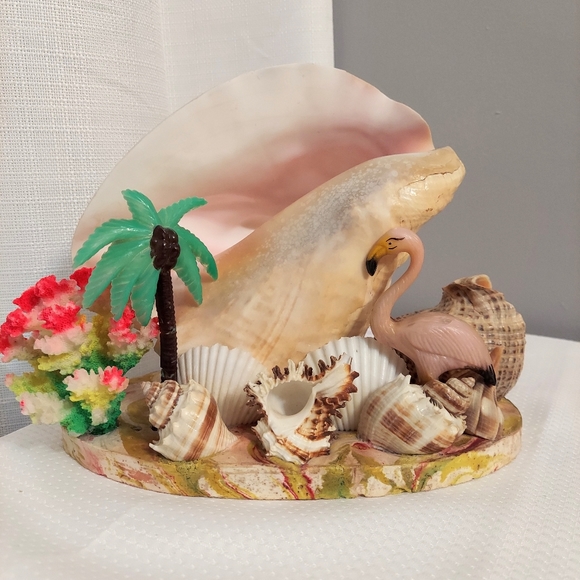 Conch TV  Accent Light Sea Shells Coral Palm Flamingo Rewired Battery 1960 - Picture 2 of 13